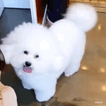 [댓글부탁해] 본진이 뭘<b>하든</b> 귀여워죽겠어