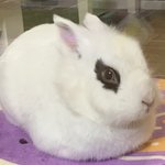 [이것좀봐줘] <b>안전</b>불감증인 부모님