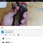 [드루와] 어떤사람이  새끼<b>박쥐</b> 먹이주는 영상 올렸는데 댓글 ㅌ...