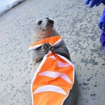 [댓글부탁해] 동생이 ㅁㅉㅁㅎ?라고 톡보냈는데 뭇은 뜻이지