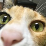 약수역 핸드폰 찾아준 <b>천사님</b>