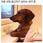 우리아빠 곰 같은 손으로 <b>연필</b>쥐고