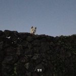 나 초딩<b>때</b> 짝남 있었는데 ㅅㅂㅋㅋㅋㅋ