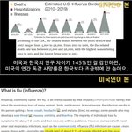 미국 <b>독감</b>, 낚시였다