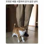 새학기 컨셉