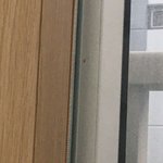 이거 딱봐도 <b>거미</b>같지