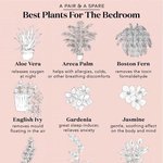 [댓글부탁해] 화이트 <b>워싱</b> ㅈㄴ 싫다