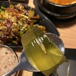 <b>Xxx</b>지 명이나물에서 에벌레가 나왔어요