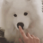 야 가슴없는 애들아