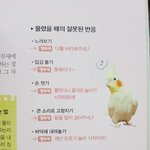 드루와서 <b>추반</b> 좀