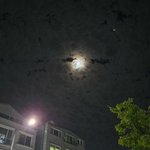 [댓글부탁해] 카톡 친구<b>목록</b> 다 정리함