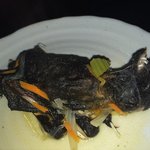 [19] 나 <b>박쥐</b>고기 먹어봄