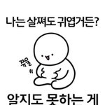 이 짤 뭔데 <b>기엽</b>냐