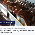 [드루와] ㅁㅊ 우한근처 <b>바이러스</b> 또 터짐