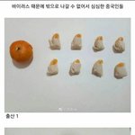 [모두드루와] <b>바이러스</b> 때문에 밖으로 나갈수 없어 심심한 중국인들
