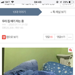 이갱얼쥐 주인인사롬