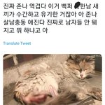 [드루와] <b>한남</b> 역겹다