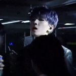 [세븐틴] 개미쳤네