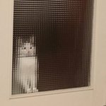 얘들아 이런 노래 추천좀 부탁해 ㅠㅠ