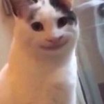 [드루와] <b>b급</b>짤 올려줘 이런거