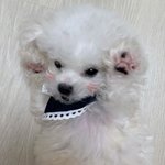 POP SONG 추천 <b>PLZ</b>