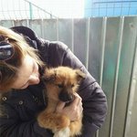 <b>이불</b> 밖은 위험하다는 내 댕댕이를 위해...