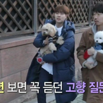 알고 보니 정통 강남파 배우