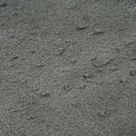 코트에 때<b>보풀</b>이 생기네요ㅠㅠ (사진첨부)