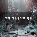 [댓글과조언] 그저 <b>자유</b>롭기로 했다~