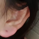 [댓글부탁해] 귀걸이 빼고 다시 어떻게넣는거야