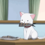 [댓글부탁해] 생리전에 <b>미열</b> 나는 경우도 있어?