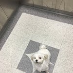 <b>이사진</b> 진짜 에바 아니냐 ? ;;