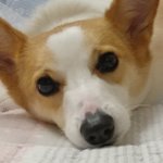 내 틱톡 최애 두명