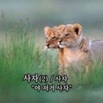니코파치즈 아니<b>구여</b> 리코타치즈 맞습니다