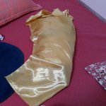 나의 동거묘 <b>도칠</b>이 2월 일상