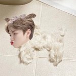 아미친 개친했던 친구 방학하고 안봐서 <b>어색</b>해짐