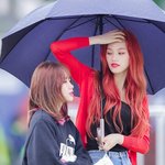 [모두드루와] 내 돌의 <b>덩치</b>케미 앓고 가자