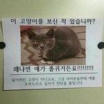 [댓글부탁해] 남친이나 썸남있는 애들아 들어와봐ㅠㅠ