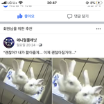 [드루와] 걍 화장품 그만 개발하면 안되냐?
