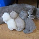 브랜드 슬리퍼 추천해주세용❤️❤️