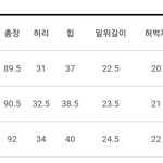 바지 사려는데 허리 24인치 <b>힙</b> 36인치이면