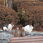 우리학원만 쉬는시간없음??