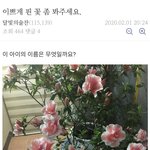 [댓글부탁해] <b>식물</b>갤러들 귀엽다
