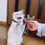 [드루와] 나 내일 짝남 <b>본다</b> ㅠㅠㅠ