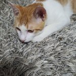 쌍수하고 <b>자존</b>감 올라간거 확 느껴짐ㅋㅋㅋ