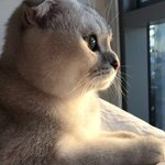 중딩 때 다들 <b>몇프로</b>로 졸업했는지 말해보자