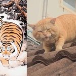 [댓글부탁해] 친해지고싶은 <b>친구</b>한테 <b>선물</b>