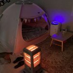 [고양이] 길출신냥이 <b>라라</b>의 성장기 여섯번째(붕괴현장)