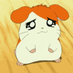 [댓글부탁해] 엄마가 <b>꽃집</b>을하는데 이거 내가 잘못한거??