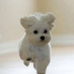 [드루와] 아니 본진말할때 부끄러운데 나만그러냐